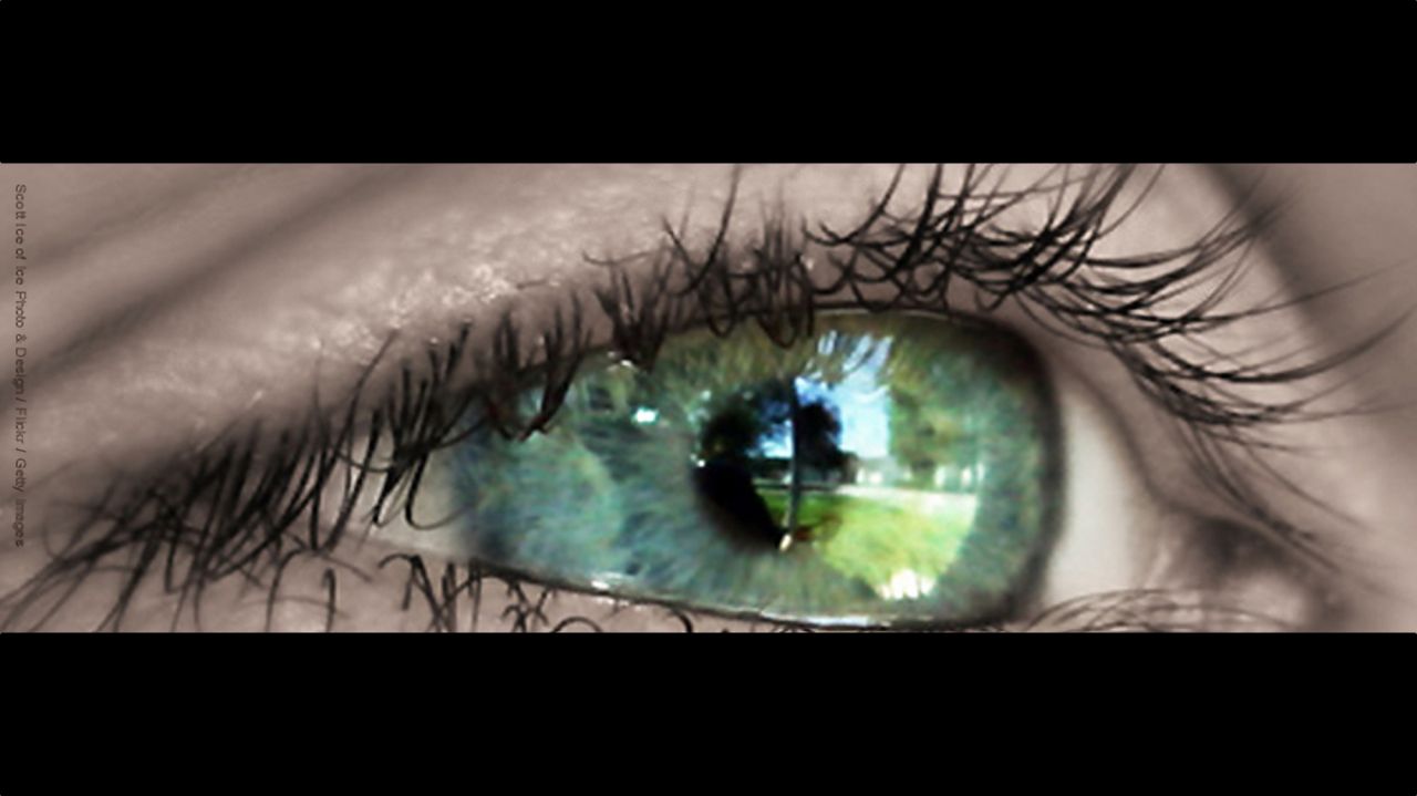 Sehen dasGehirn.info der Kosmos im Kopf